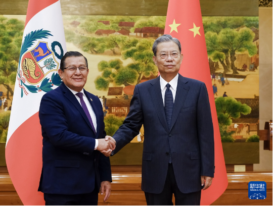 赵乐际同秘鲁国会主席萨卢安纳举行会谈